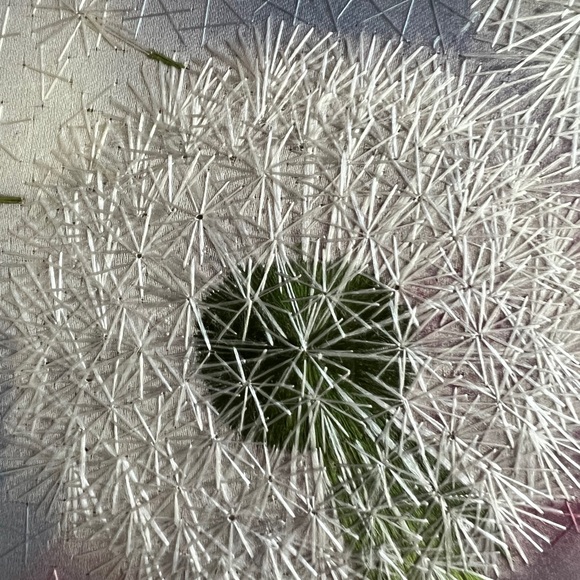 Framed art - Picture 10 of 11